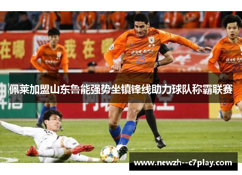 佩莱加盟山东鲁能强势坐镇锋线助力球队称霸联赛